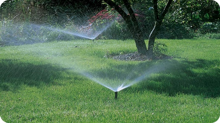 Systèmes d'arrosage: En été, ne laissez pas votre jardin et vos plantes  souffrir de la sécheresse