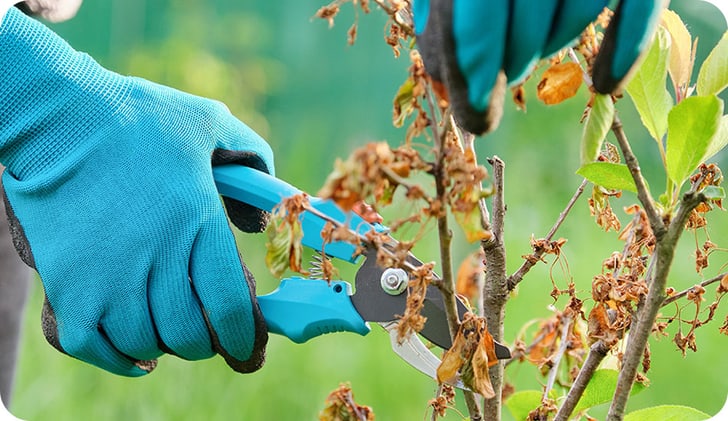 Come raccogliere le foglie del giardino in poco tempo 