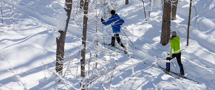 Ein Mann und eine Frau langlaufen durch einen verschneiten Wald auf einer Loipe.