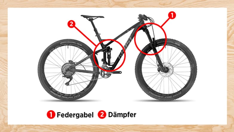 10 Stück Fahrrad-Kugellager | 40 Mm Außendurchmesser, 4 Mm Kugeln | Für Vorderradgabel, Tretlager & Lenkkopf