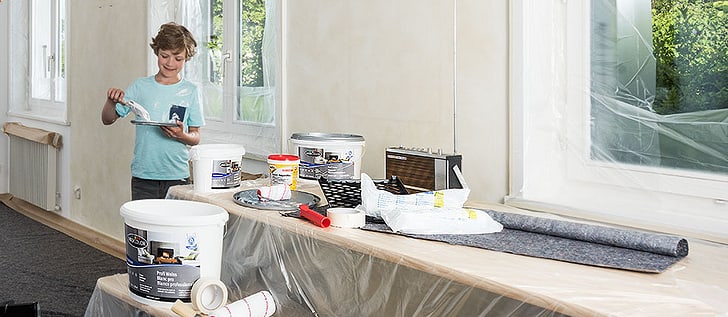 Peintures, laques, brosses et rouleaux à peinture