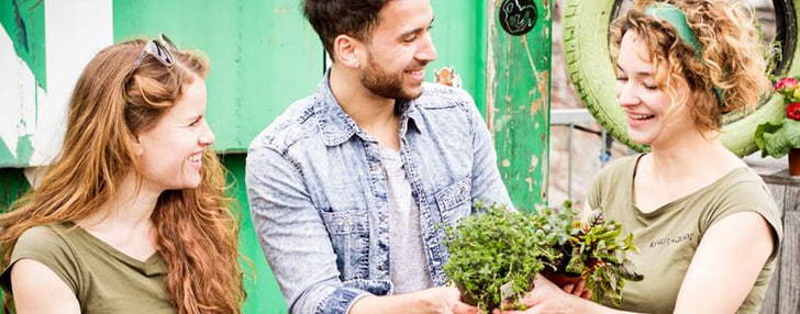 Urban Farming avec Do it + Garden Migros
