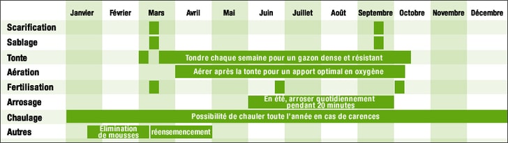 Calendrier d’entretien du gazon