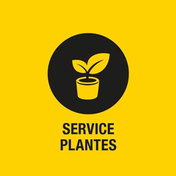 Service plantes