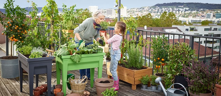 Jardinières surélevées sur la terrasse
