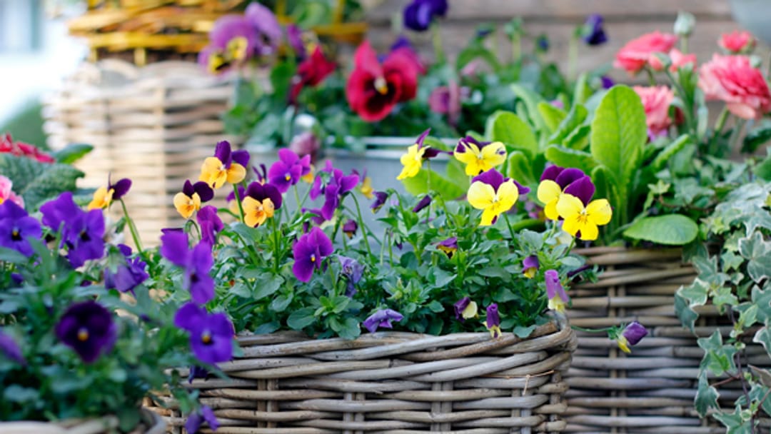 Do it + Garden Baumarkt & Gartencenter der Migros