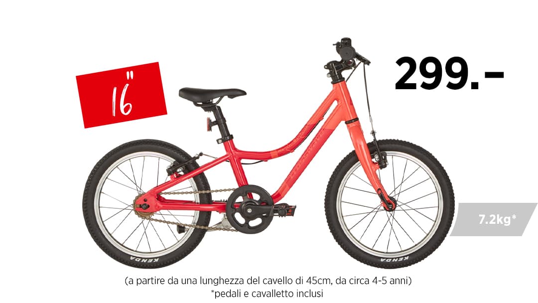 bicicletta adatta a bambina alta 115 cm