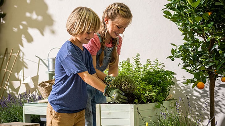 Do It + Garden Online-Shop: Baumarkt & Gartencenter Der Migros