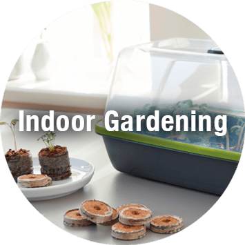 Indoor-Gardening