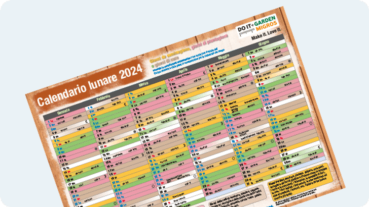 DIG_Moon_Plant_Calender_2024_620x349px_IT.png