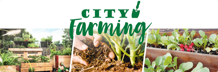City Farming, Urban Farming, Pflanzen