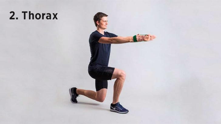 Renforce tous les muscles des jambes, les muscles abdominaux latéraux et les bras.