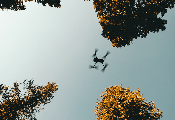 Drohnen-Baum