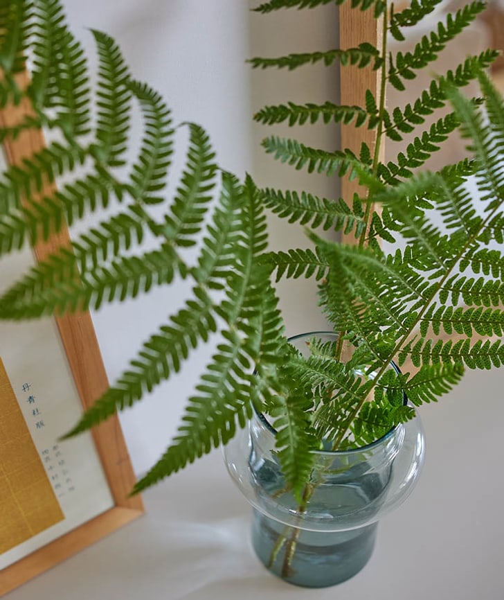 Grüne Farnzweige in einer Glasvase, daneben ein Bilderrahmen.