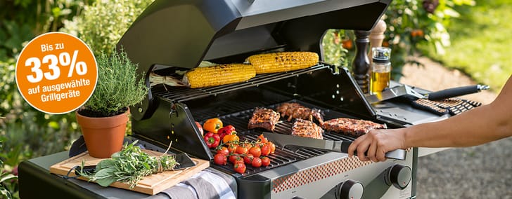 DOI_LanP_Grill-1_KW16-21_TB4_DE.jpg