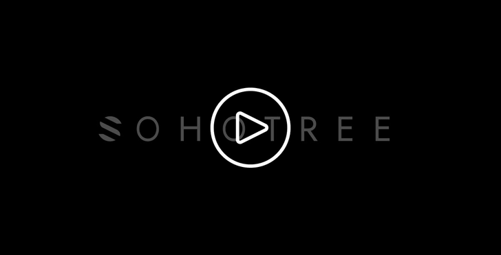 Teaser Video Preview Sohotree