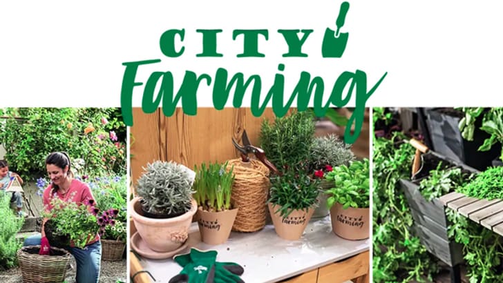 TB2-CityFarming.jpg