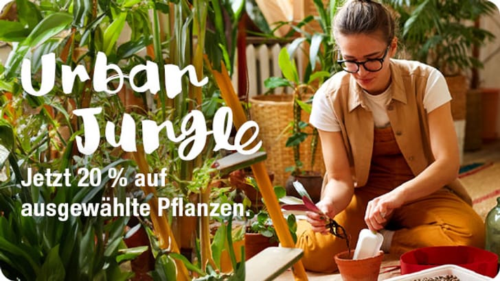 Do it + Garden Online-Shop: Baumarkt & Gartencenter der Migros