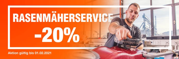 20% auf Rasenmäherservice