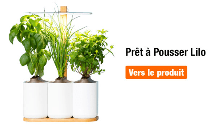 Prêt à Pousser - Test de produit chez Do it + Garden Migros