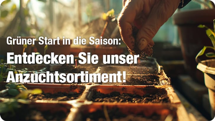 Do it + Garden Online-Shop: Baumarkt & Gartencenter der Migros