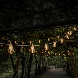 Guirlandes lumineuses sous un toit d’arbres créant une ambiance chaleureuse.