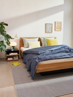 ﻿Chambre à coucher avec un grand lit en haut à droite, des textiles confortables comme un tapis et un couvre-lit et une plante